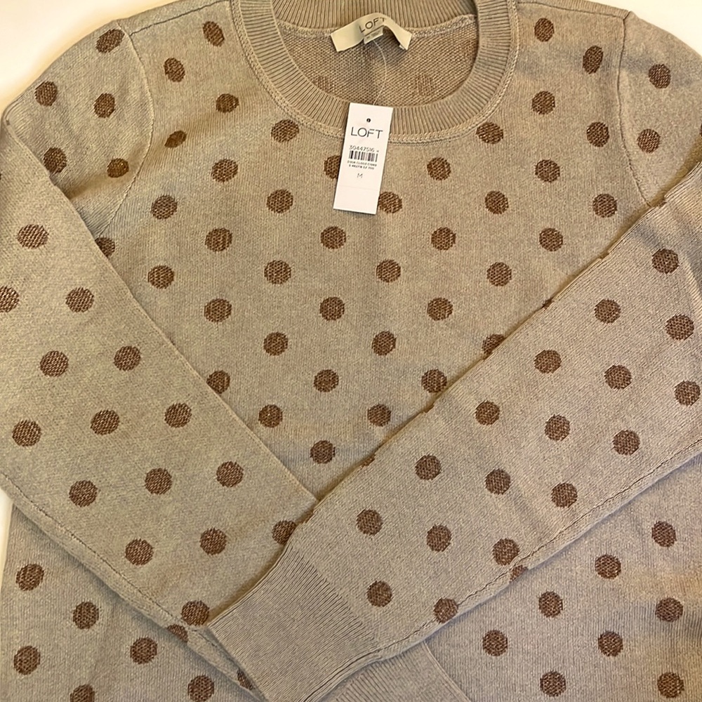 Anne Taylor Loft Long Sleeve Sweater Women’s Medium New with Tags